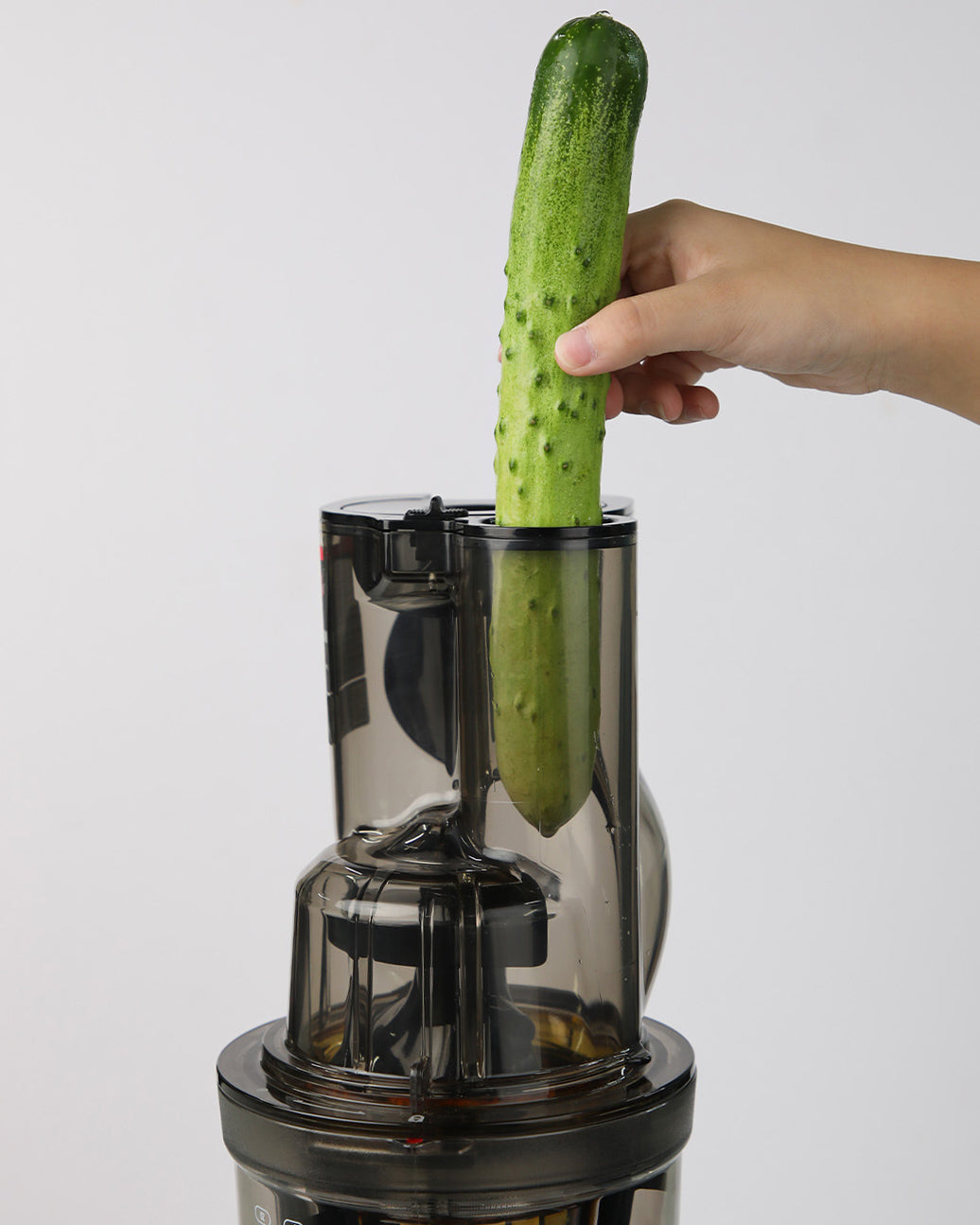 Wyciskarka wolnoobrotowa Revo 830 